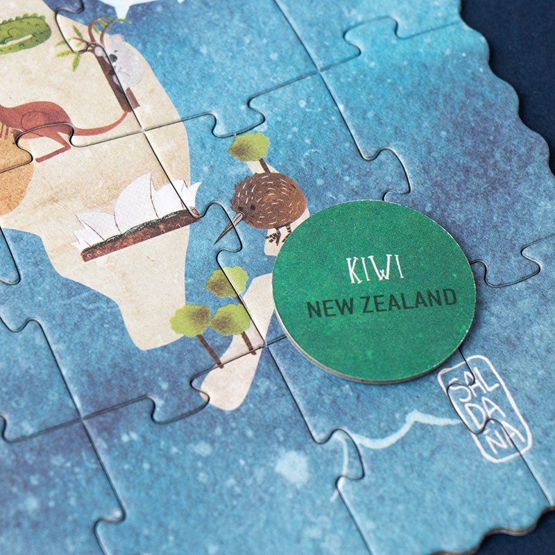 world countries map puzzle